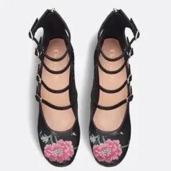 Dior 2023 Buckled Mary Jane Floral Petites Fleurs Embroidered Platform Heels - Picture 5 of 7